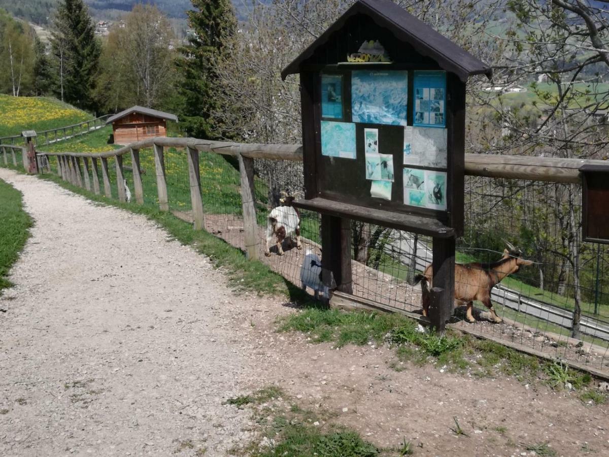 Appartamento Tiziana Val Di Fiemme Carano  Exterior photo